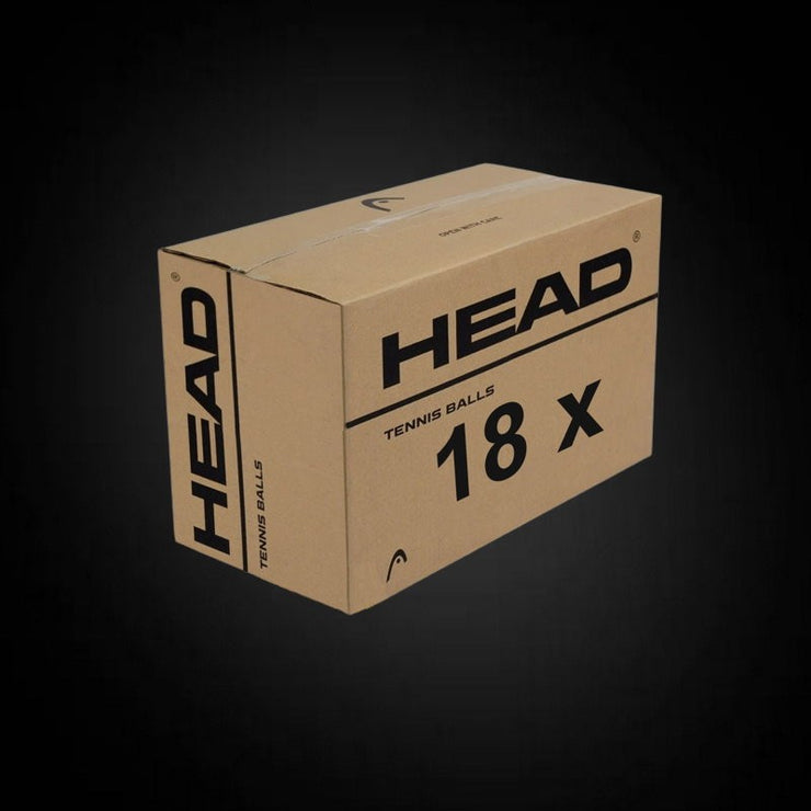 Head Tour - SWISS - 6DZ